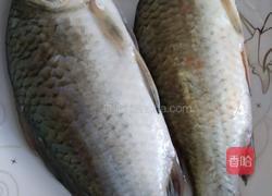 红烧鲫鱼的做法图解1