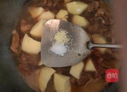 番茄土豆炖牛腩的做法图解14