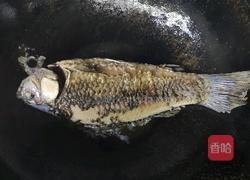 营养奶白鲫鱼豆腐汤的做法图解4