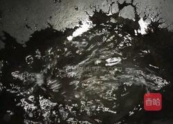 清蒸鲈鱼的做法图解4