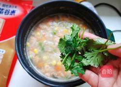 杂蔬鸡肉粥的做法图解9