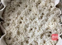 甜酒酿的做法图解3