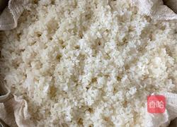 甜酒酿的做法图解4