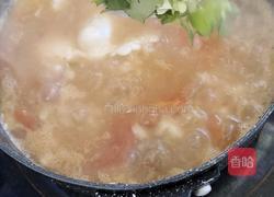 西红柿鸡蛋疙瘩汤的做法图解13