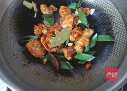 土豆炖鸡块的做法图解8