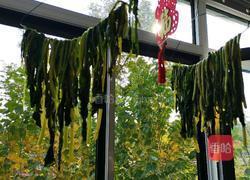 自制梅干菜的做法图解5