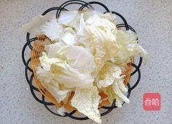 白菜炖豆腐的做法图解2