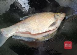 红烧武昌鱼的做法图解4