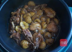 酱焖栗子鸡的做法图解14