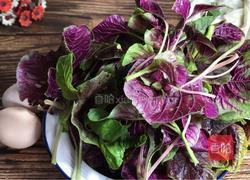 苋菜炒鸡蛋的做法图解1