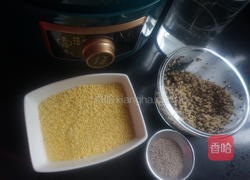 奇亚籽藜麦小米粥的做法图解1