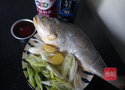 干烧大黄鱼的做法图解1