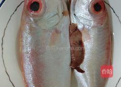 大眼鸡鱼汤的做法图解1