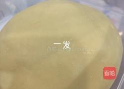 蜂蜜脆底小面包的做法图解2