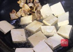 小白菜木耳烧豆腐的做法图解8