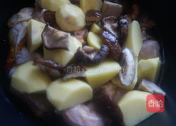 土豆炖鸡的做法图解9