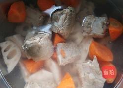 莲藕胡萝卜排骨汤的做法图解6