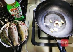 鲫鱼粉丝煲的做法图解2