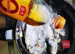 鲫鱼粉丝煲的做法图解4