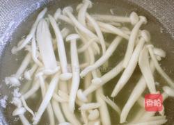 海鲜菇炒小白菜的做法图解7