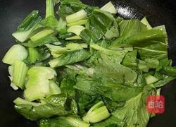 炒飘儿菜 的做法图解4