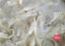 茴香猪肉饺子的做法图解12