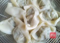 茴香猪肉饺子的做法图解13