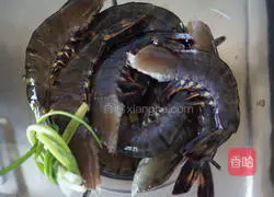 Beer Lemongrass Shrimp Recipe Illustration 2