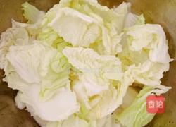 白菜炖豆腐的做法图解3