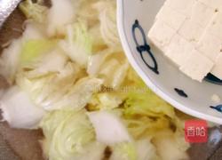 白菜炖豆腐的做法图解7