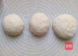 原味吐司（一次发酵）的做法图解6