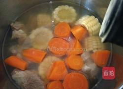 胡萝卜玉米排骨汤的做法图解8