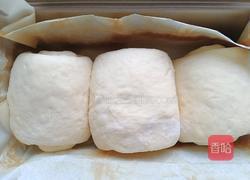 葡萄干吐司(一次发酵)的做法图解11