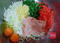 鸡肉萝卜丸子(不焯水)的做法图解3
