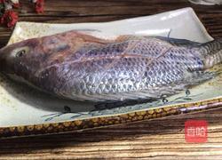 香菜烧鲫鱼的做法图解5