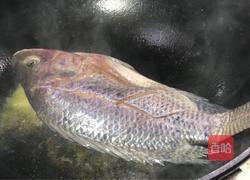 香菜烧鲫鱼的做法图解6