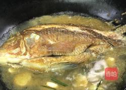 香菜烧鲫鱼的做法图解8