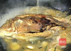 香菜烧鲫鱼的做法图解9