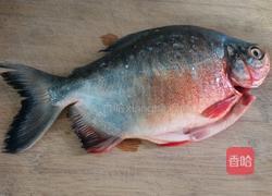 煎焖红鲳鱼的做法图解1