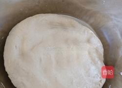萝卜粉素馅包子的做法图解4