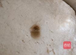 圆白菜鸡蛋粉条素馅包子的做法图解17