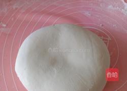 圆白菜鸡蛋粉条素馅包子的做法图解18