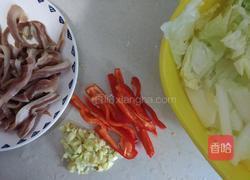 芽白肚条的做法图解2