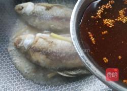 大葱鲫鱼的做法图解6