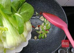 蚝油油菜的做法图解5