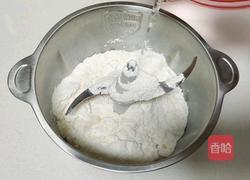 东河肉饼的做法图解1