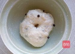 蔓越莓菠萝包的做法图解7
