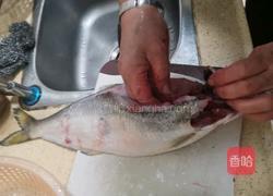 家烧白鲢鱼的做法图解1