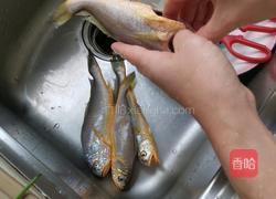 家烧小黄鱼的做法图解1