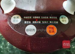 花生酪的做法图解3